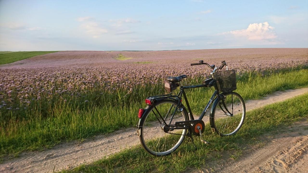 Domek Letniskowy Dario Ińsko Exterior foto